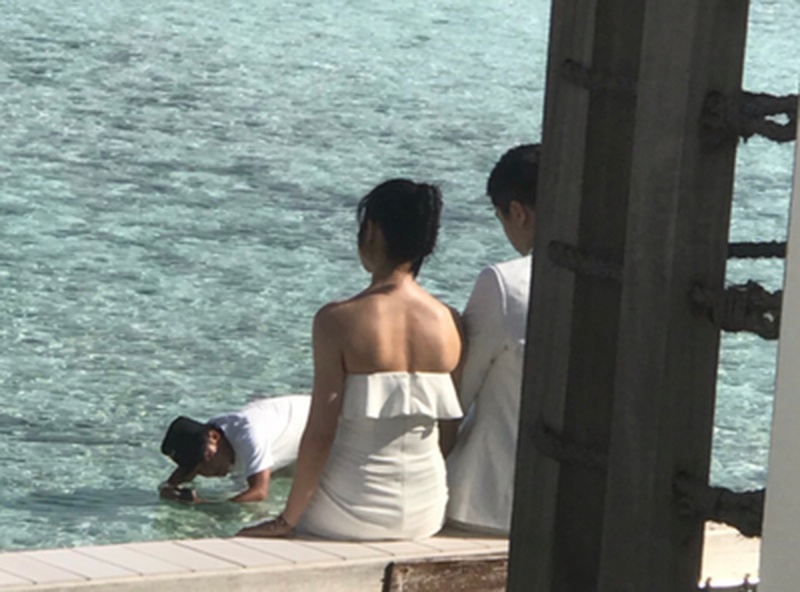 陈妍希